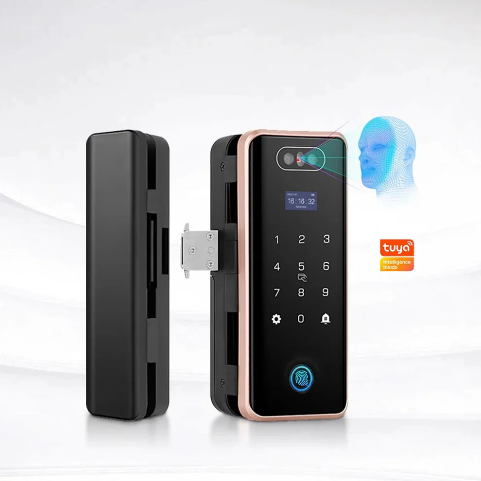 Anti-theft 3D Face Id Intelligent Glass Door Lock Smart Home APP Face Recognition Smart Door Lock