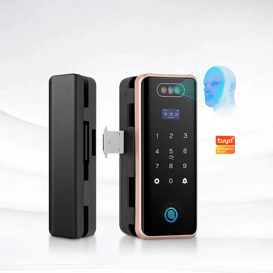 Anti-theft 3D Face Id Intelligent Glass Door Lock Smart Home APP Face Recognition Smart Door Lock